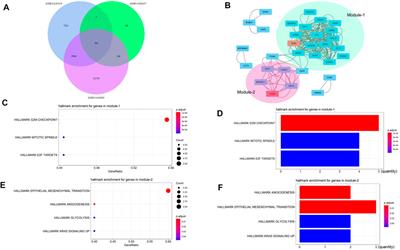 Comprehensive Analysis of VCAN Expression Profiles and Prognostic Values in HCC